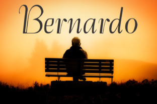 Bernardo Family: The Premium Display Font for Modern Editorial Design