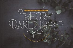 Secret Darling: A Vintage Display Typeface for Modern Branding